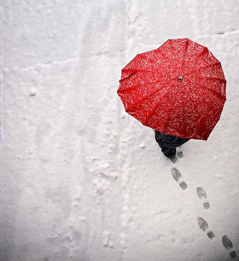 Фотография: 19 удивительных зонтов для осени №30 - BigPicture.ru