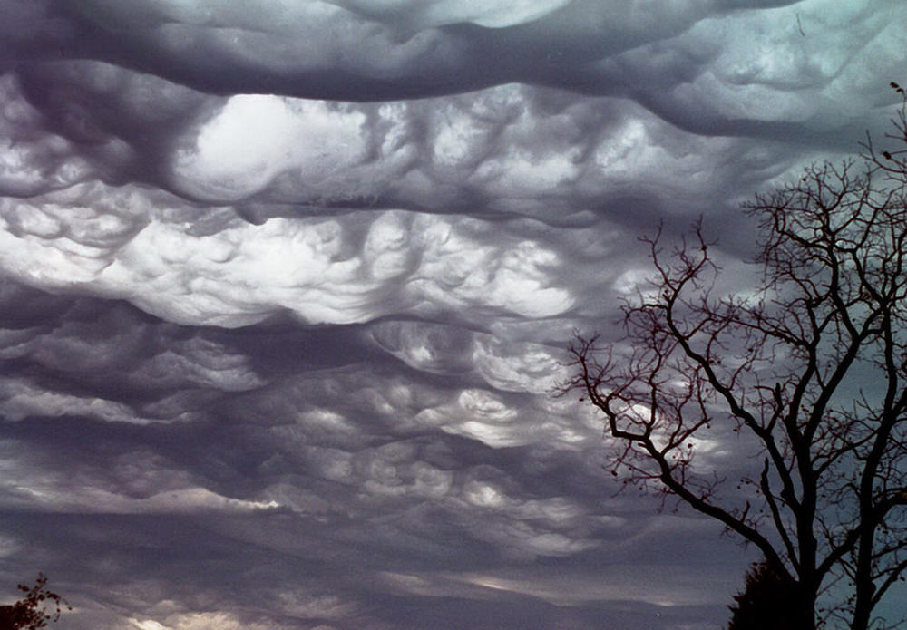 Фотография: Асператус — самые страшные облака №13 - BigPicture.ru