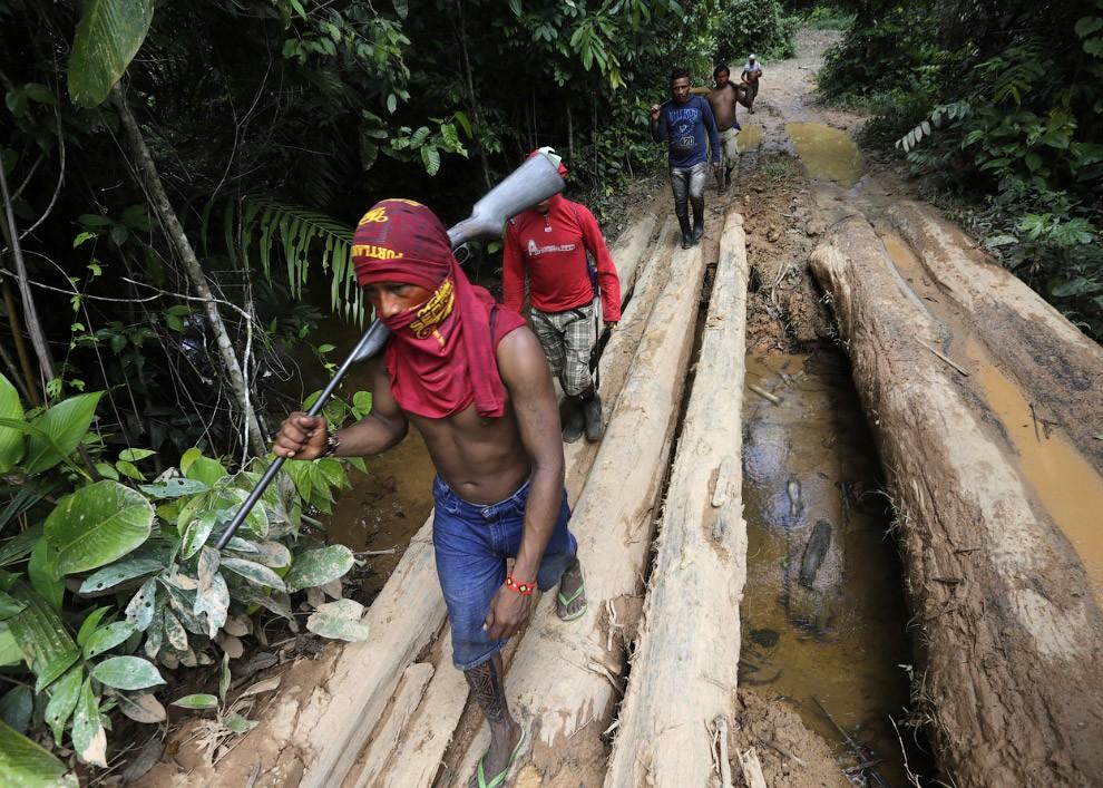 Фотография: Как воины джунглей Амазонки борются с черными лесорубами №6 - BigPicture.ru