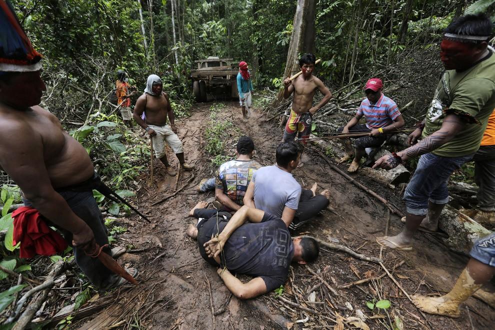 Фотография: Как воины джунглей Амазонки борются с черными лесорубами №9 - BigPicture.ru