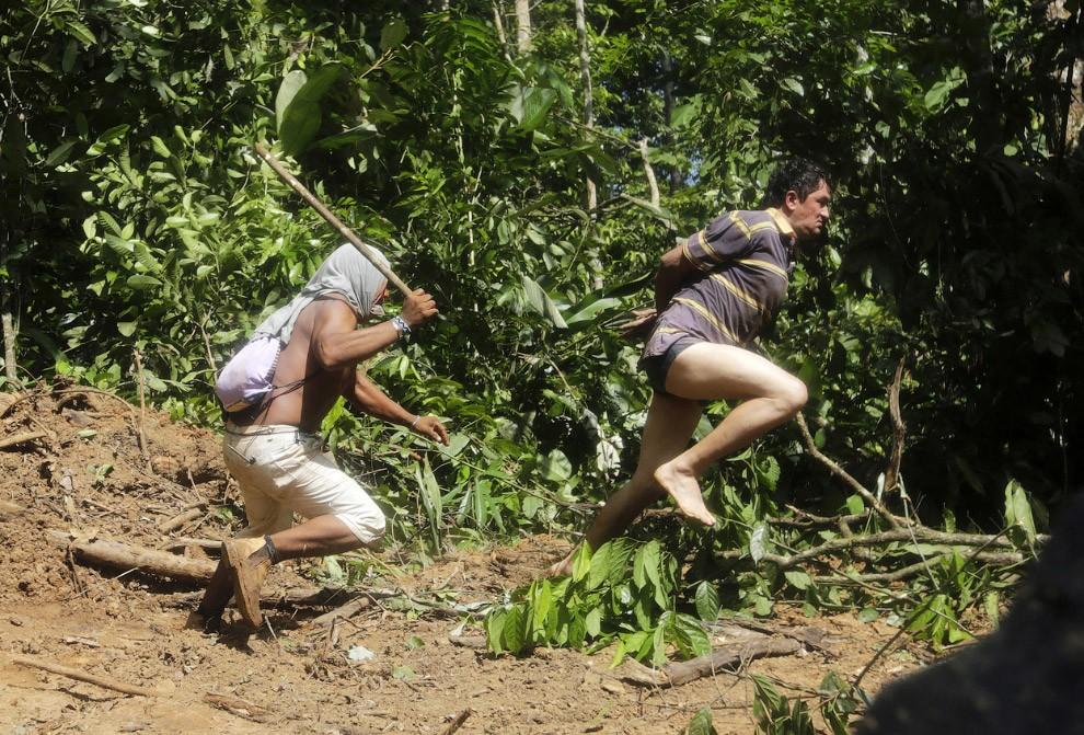Фотография: Как воины джунглей Амазонки борются с черными лесорубами №21 - BigPicture.ru