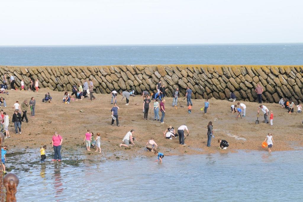 Фотография: Британская золотая лихорадка на пляже Фолкстона №9 - BigPicture.ru