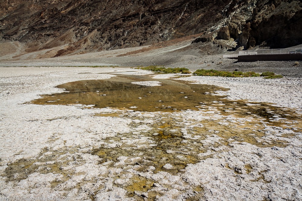 Фотография: Death Valley — долина убийственной красоты №24 - BigPicture.ru