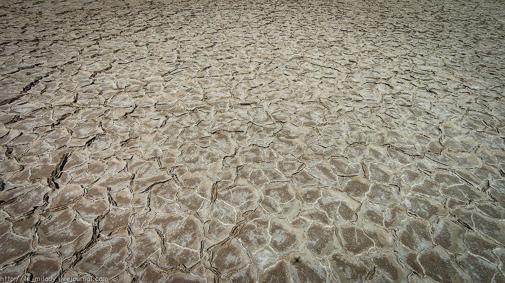 Фотография: Death Valley — долина убийственной красоты №30 - BigPicture.ru