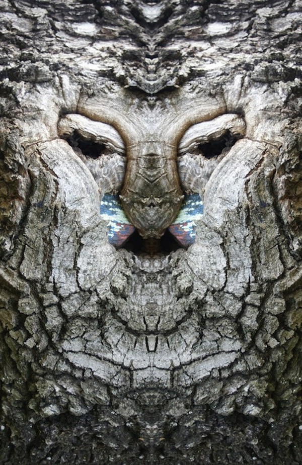 Фотография: Превращение деревьев в сказочных персонажей мира фэнтези при помощи зеркального отражения №7 - BigPicture.ru