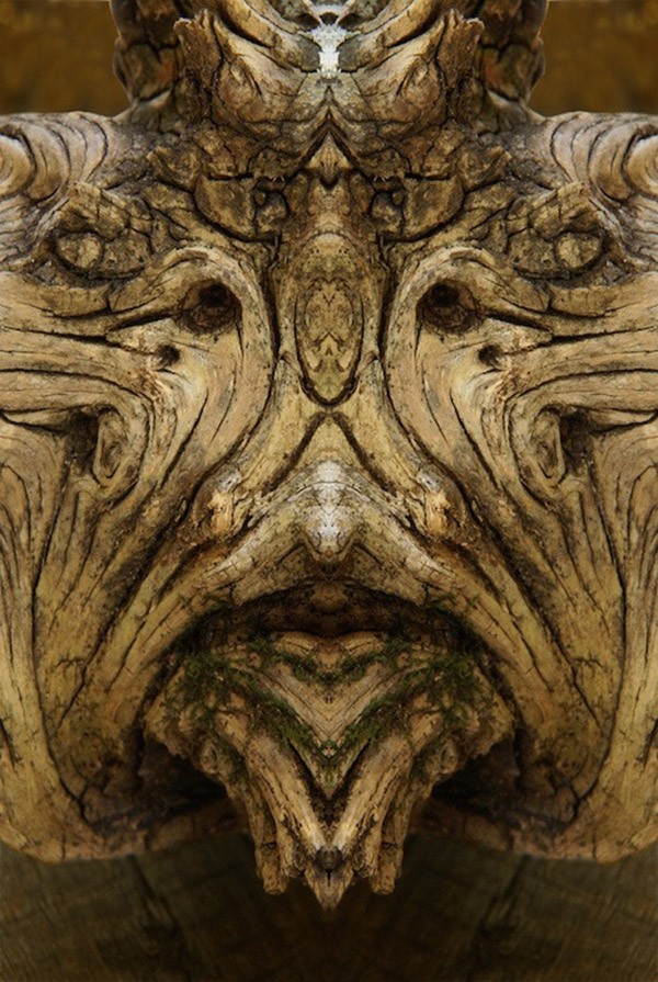 Фотография: Превращение деревьев в сказочных персонажей мира фэнтези при помощи зеркального отражения №12 - BigPicture.ru