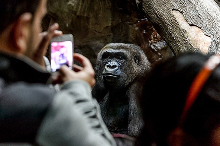 Фотография: Ужасы зоопарков со всего мира №5 - BigPicture.ru