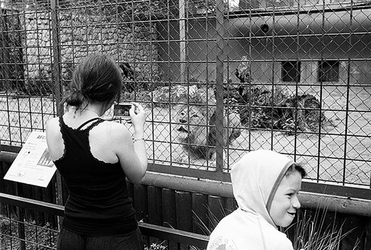 Фотография: Ужасы зоопарков со всего мира №18 - BigPicture.ru