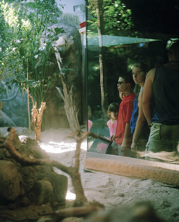 Фотография: Ужасы зоопарков со всего мира №28 - BigPicture.ru
