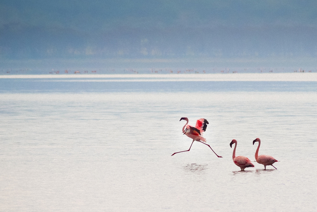 Фотография: 5 самых красивых озер мира №7 - BigPicture.ru