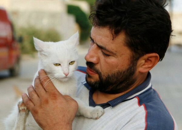 Водитель из Сирии спасает брошенных кошек