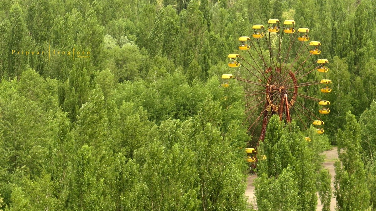 Фотография: Оживающий Чернобыль №19 - BigPicture.ru