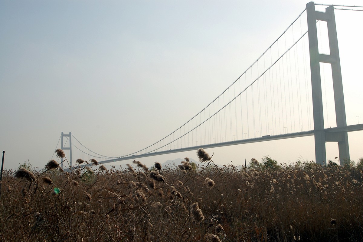 Фотография: Топ-10 самых длинных висячих мостов в мире №8 - BigPicture.ru