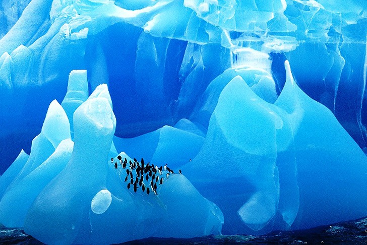 Фотография: 25 удивительных айсбергов и ледников со всего мира №1 - BigPicture.ru