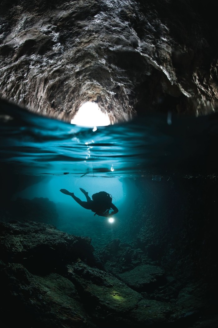 Фотография: Что скрывается под водой: 34 невероятные фотографии №26 - BigPicture.ru