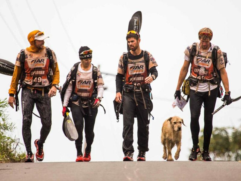 Фотография: История собаки-победителя Adventure Race №1 - BigPicture.ru