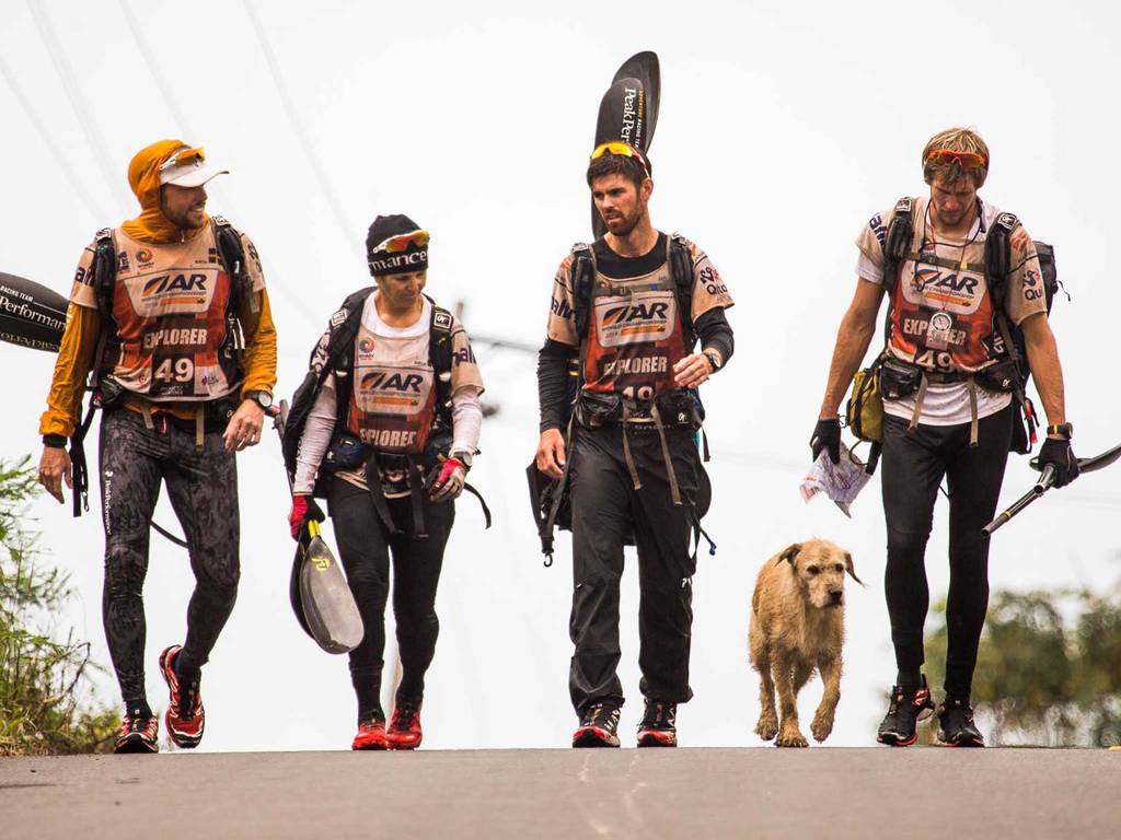Фотография: История собаки-победителя Adventure Race №14 - BigPicture.ru