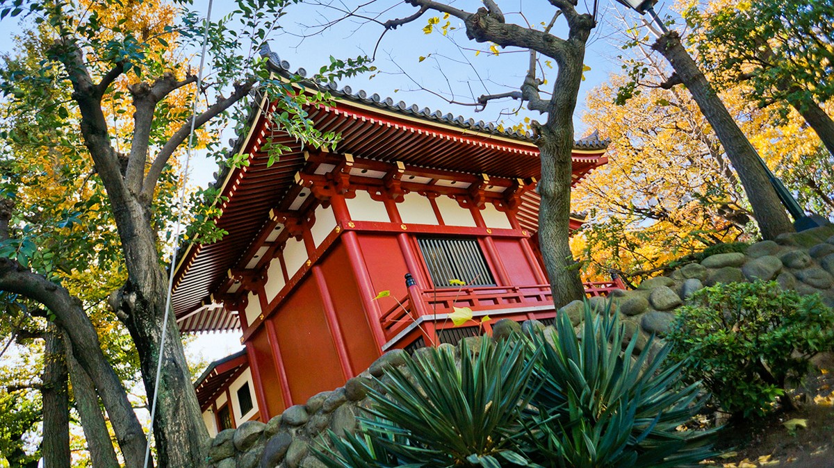 Фотография: Самые-самые замки и храмы Японии №14 - BigPicture.ru