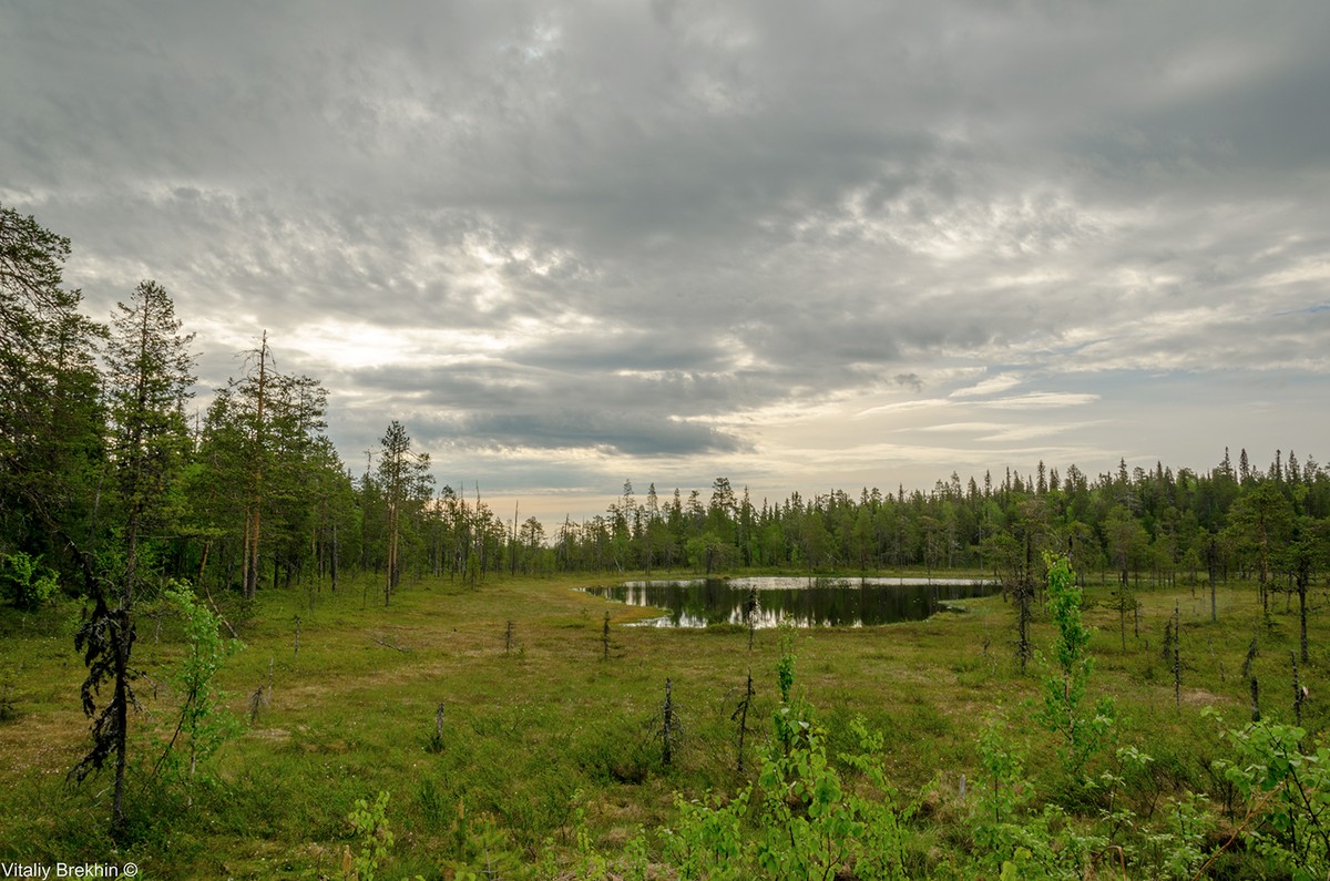 Фотография: Национальный парк Паанаярви — место, где время замедляет свой ход №7 - BigPicture.ru