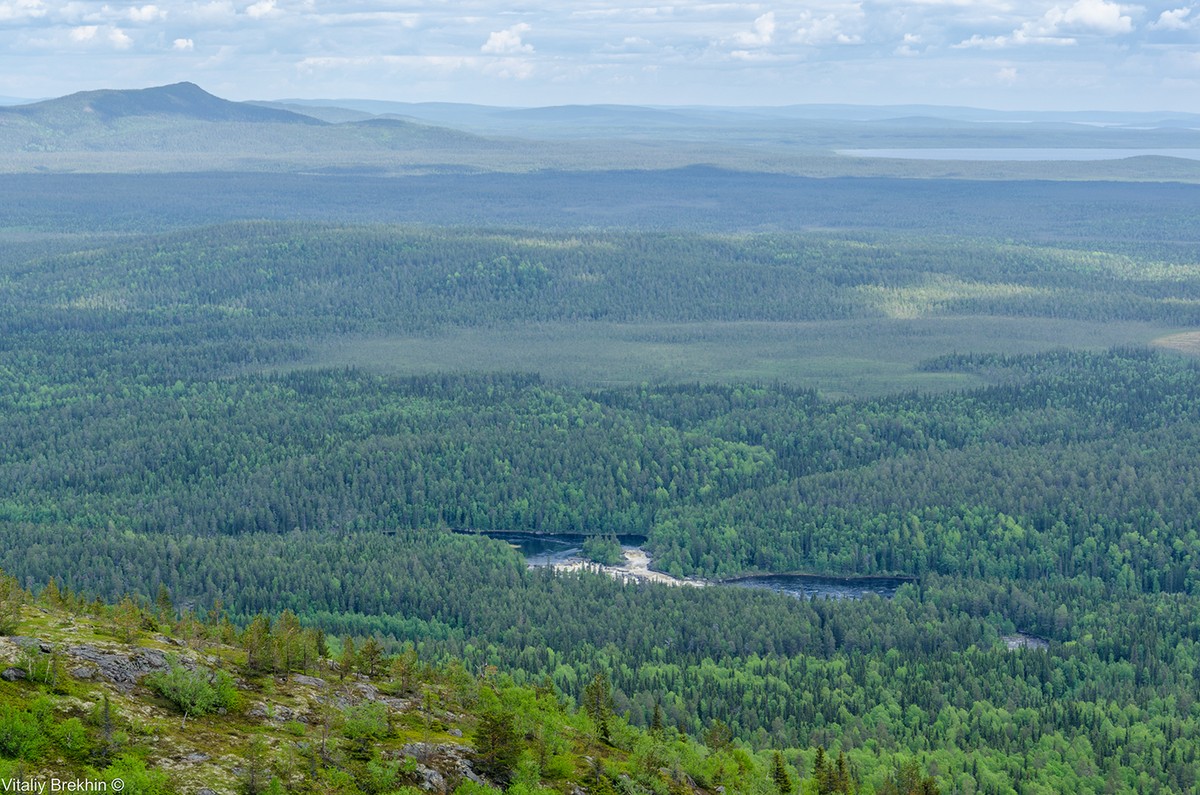 Фотография: Национальный парк Паанаярви — место, где время замедляет свой ход №26 - BigPicture.ru