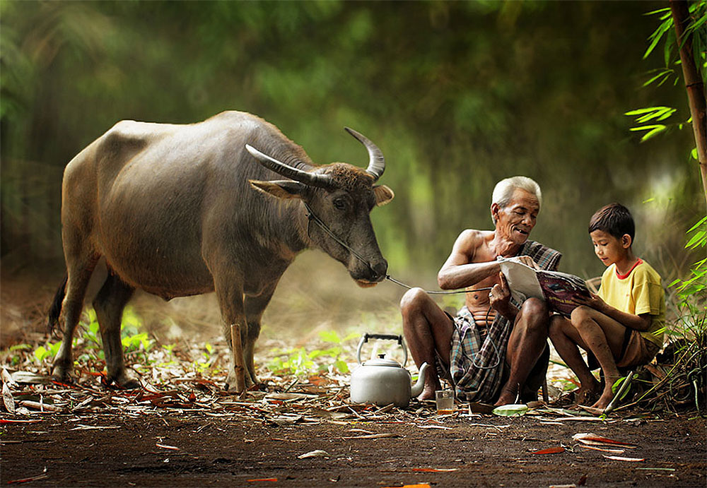 Фотография: Простая жизнь индонезийской деревушки на фотографиях Германа Дамара №8 - BigPicture.ru