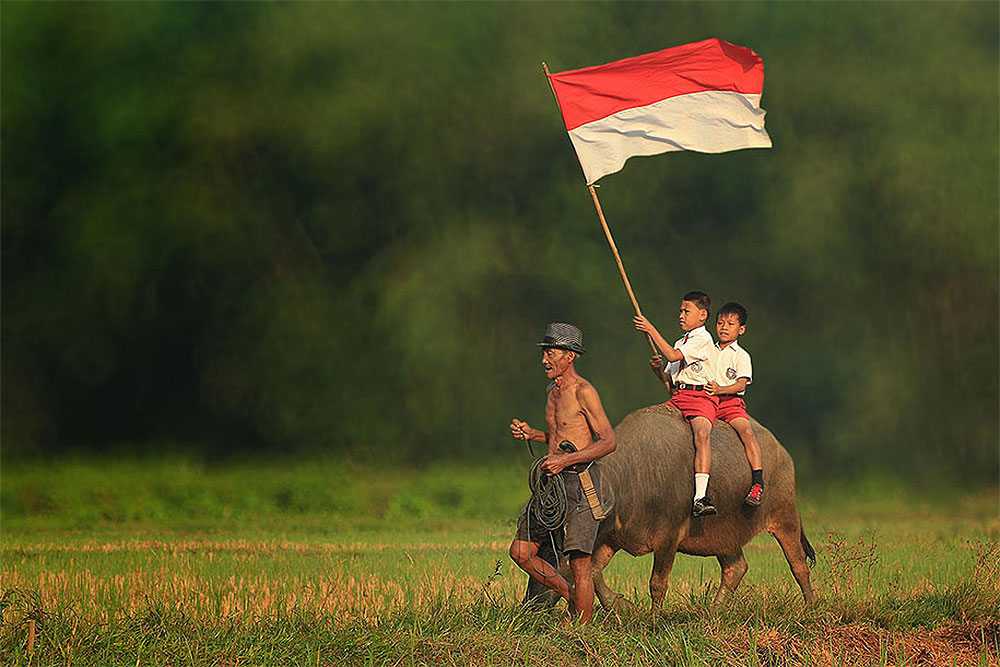 Фотография: Простая жизнь индонезийской деревушки на фотографиях Германа Дамара №27 - BigPicture.ru