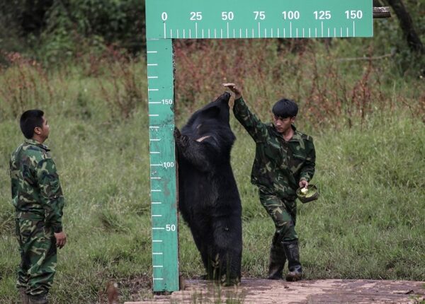 Койот на Аляске и другие лучшие фотографии животных со всего мира за неделю