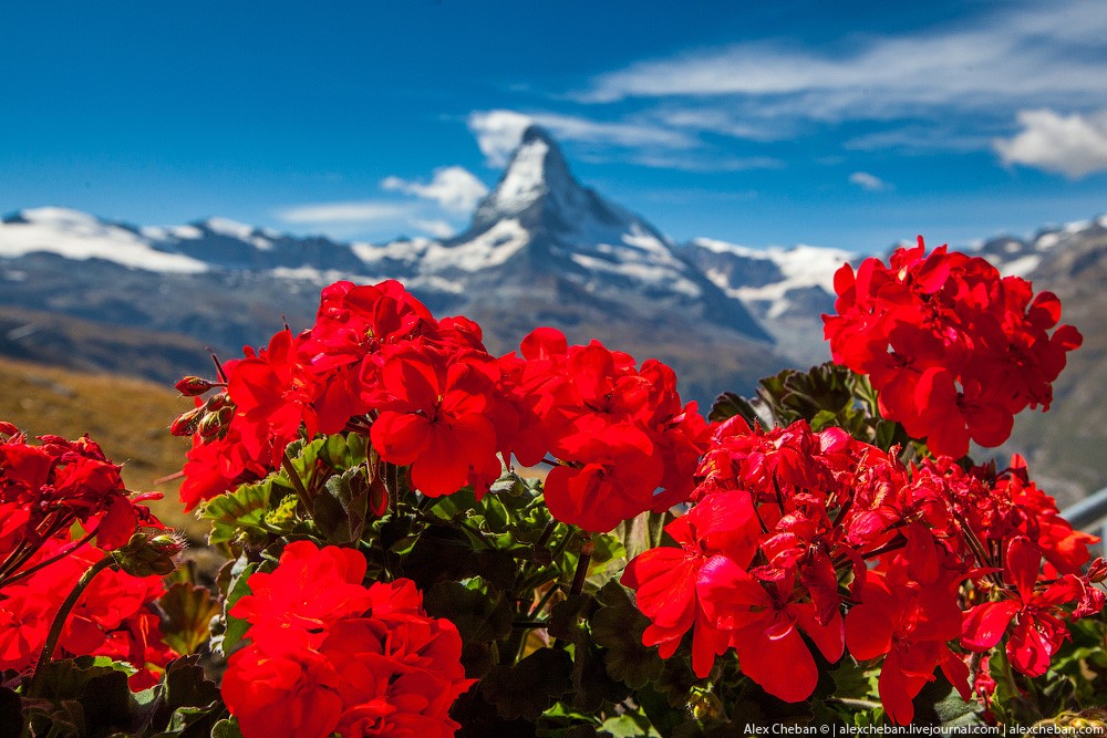 Фотография: Самая красивая горная вершина в мире №27 - BigPicture.ru