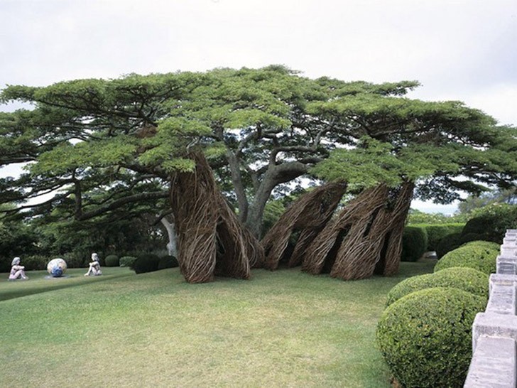 Фотография: 5 необычных сооружений в гигантских деревьях №8 - BigPicture.ru