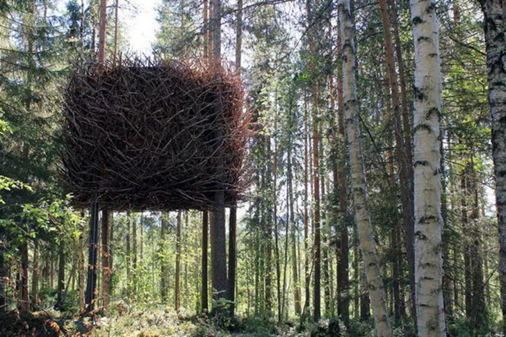 Фотография: 5 необычных сооружений в гигантских деревьях №9 - BigPicture.ru