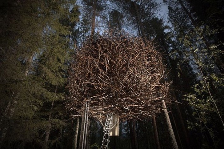 Фотография: 5 необычных сооружений в гигантских деревьях №10 - BigPicture.ru