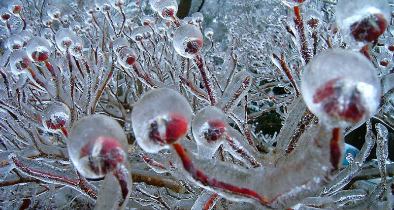 Фотография: Ледяное вдохновение — 23 фото интересных образований изо льда №1 - BigPicture.ru