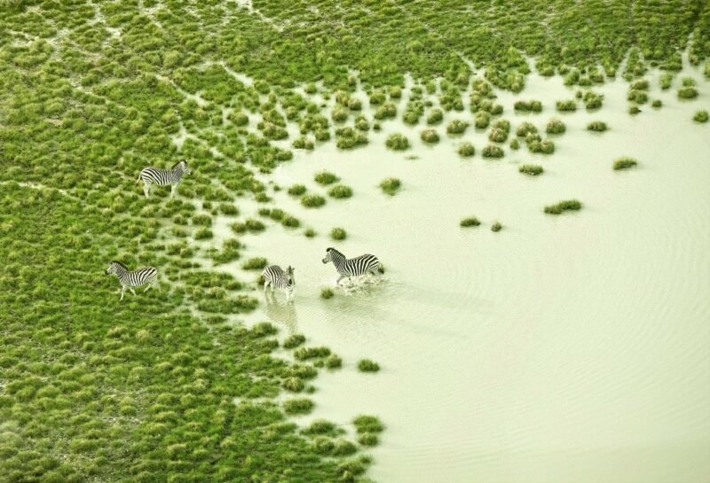 Фотография: Первозданная красота Африки на удивительных аэрофотографиях №1 - BigPicture.ru