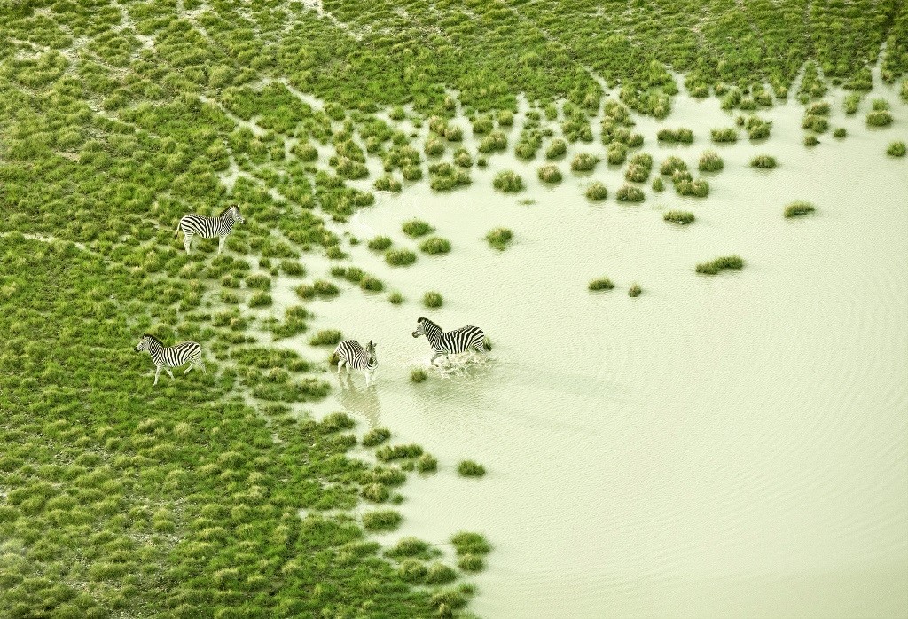 Фотография: Первозданная красота Африки на удивительных аэрофотографиях №11 - BigPicture.ru