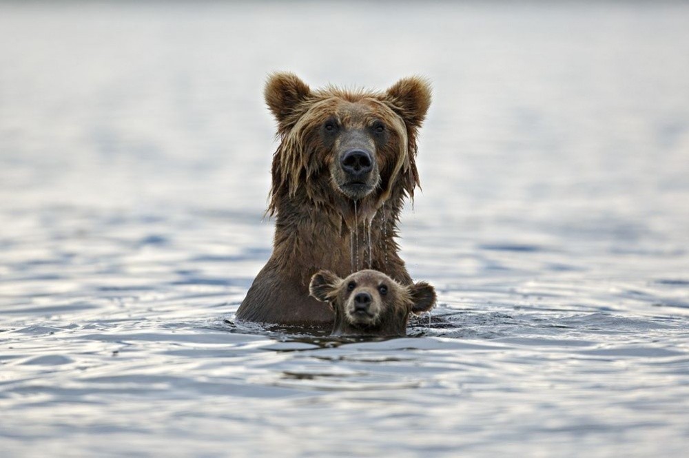Фотография: Лучшие снимки года от National Geographic №6 - BigPicture.ru
