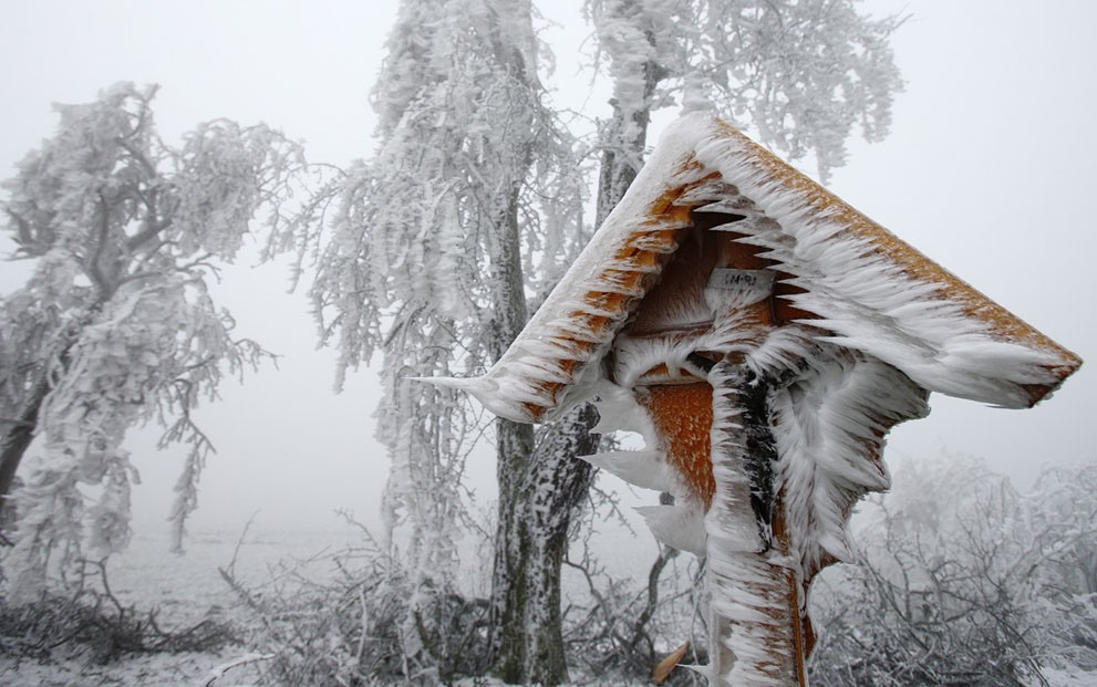 Фотография: Лед сковал Европу этой зимой №16 - BigPicture.ru