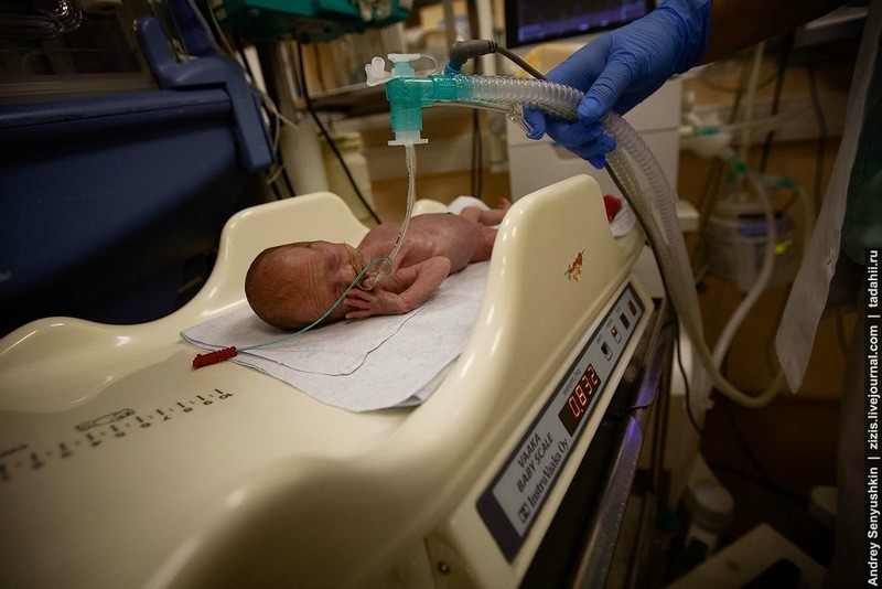 Фотография: Как спасают новорожденных. Репортаж из детской реанимации №7 - BigPicture.ru