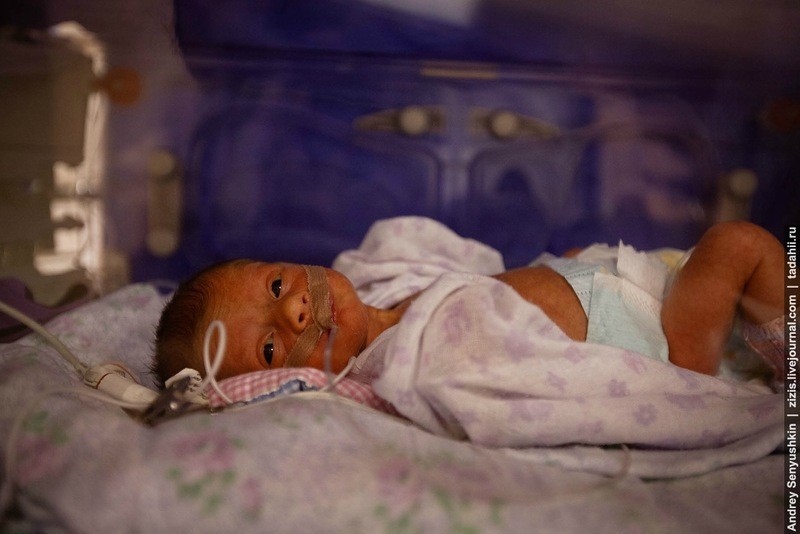Фотография: Как спасают новорожденных. Репортаж из детской реанимации №9 - BigPicture.ru