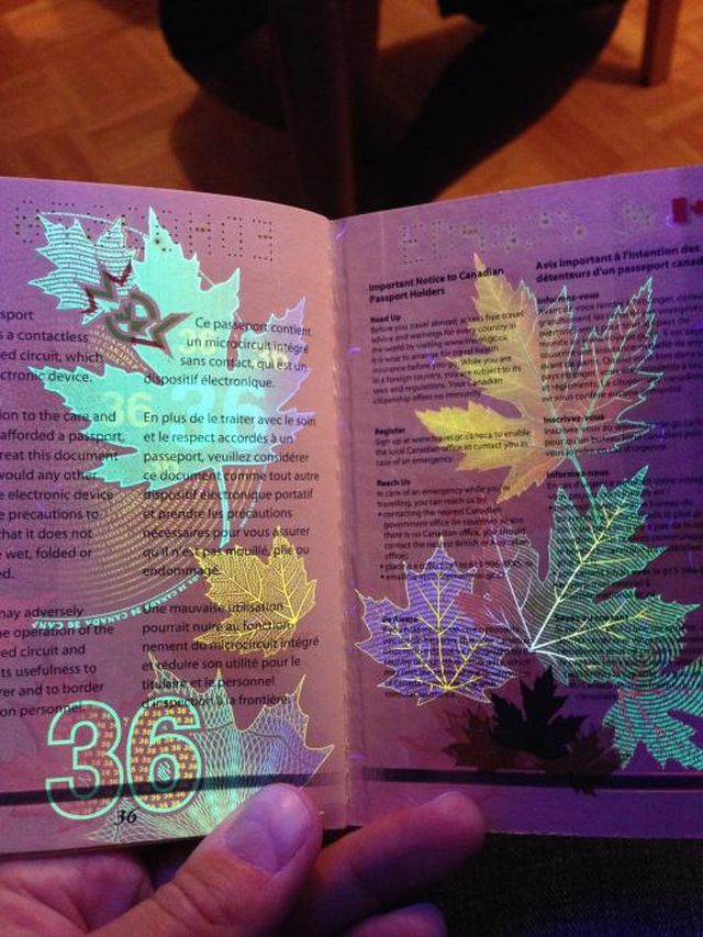 Фотография: Новый паспорт гражданина Канады в свете ультрафиолета №19 - BigPicture.ru