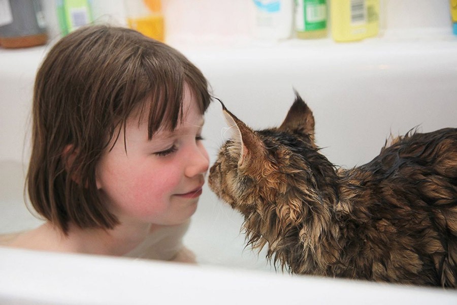 Фотография: Как кошка Тула помогает девочке с аутизмом №3 - BigPicture.ru
