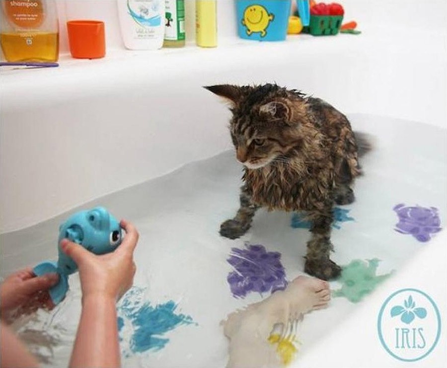 Фотография: Как кошка Тула помогает девочке с аутизмом №4 - BigPicture.ru
