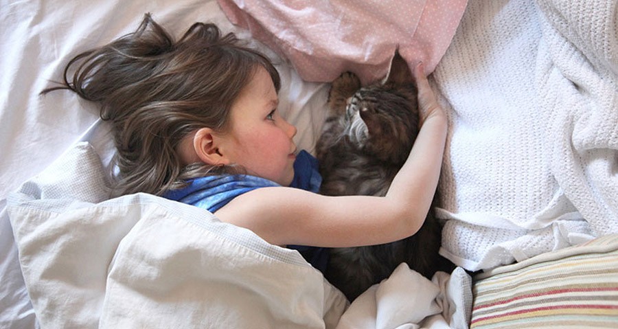 Фотография: Как кошка Тула помогает девочке с аутизмом №10 - BigPicture.ru