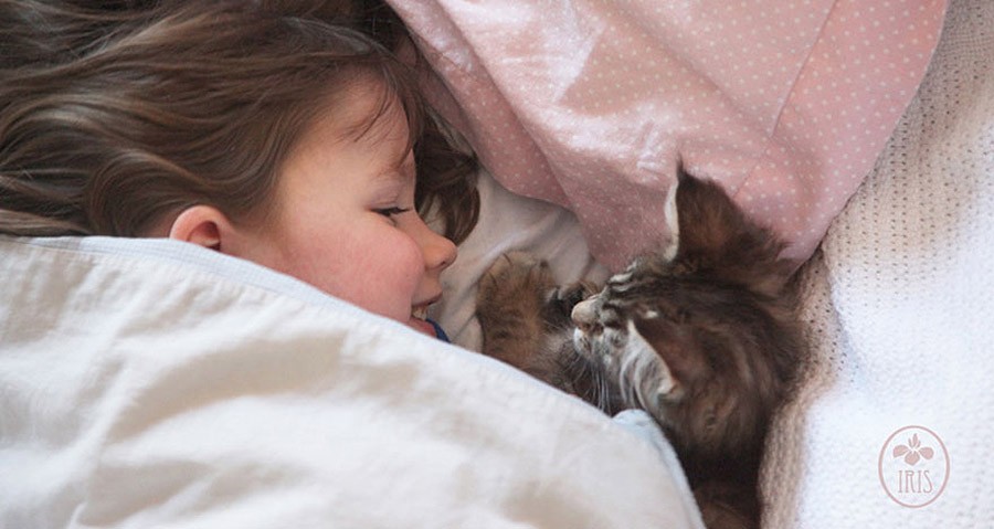 Фотография: Как кошка Тула помогает девочке с аутизмом №11 - BigPicture.ru