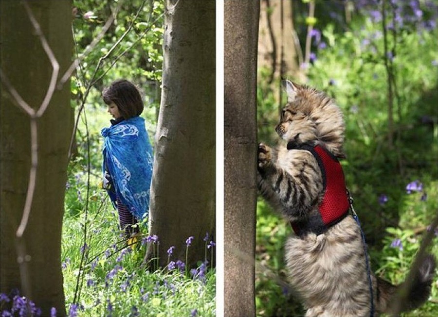 Фотография: Как кошка Тула помогает девочке с аутизмом №13 - BigPicture.ru
