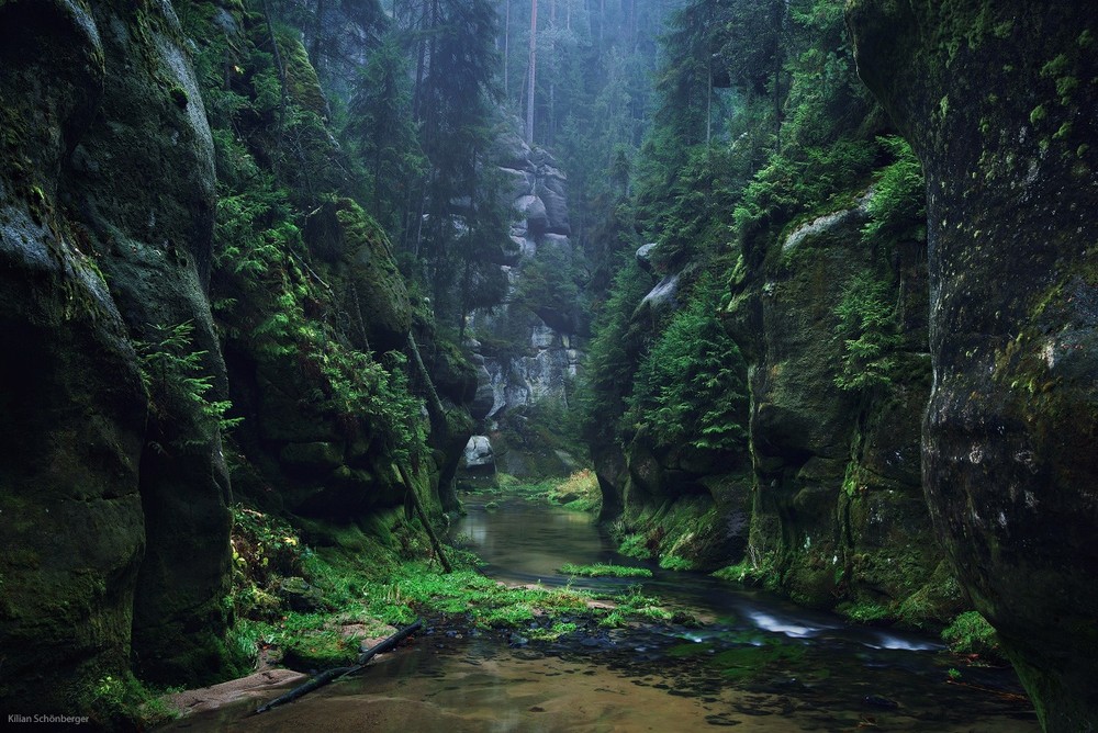 Фотография: 22 удивительных пейзажа, вдохновленных сказками братьев Гримм №4 - BigPicture.ru