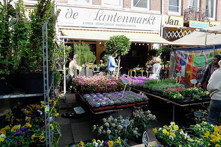 Фотография: 10 мест в Амстердаме, куда ходят сами амстердамцы №6 - BigPicture.ru