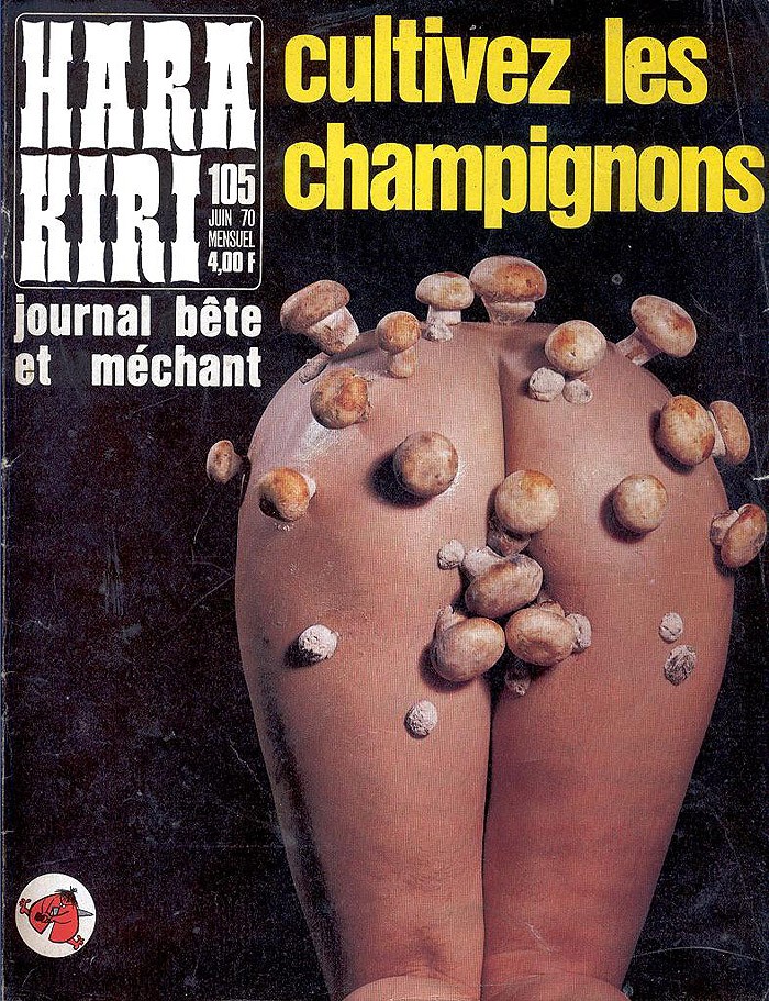 Фотография: Обложки самого хулиганского журнала Франции прошлого века №28 - BigPicture.ru