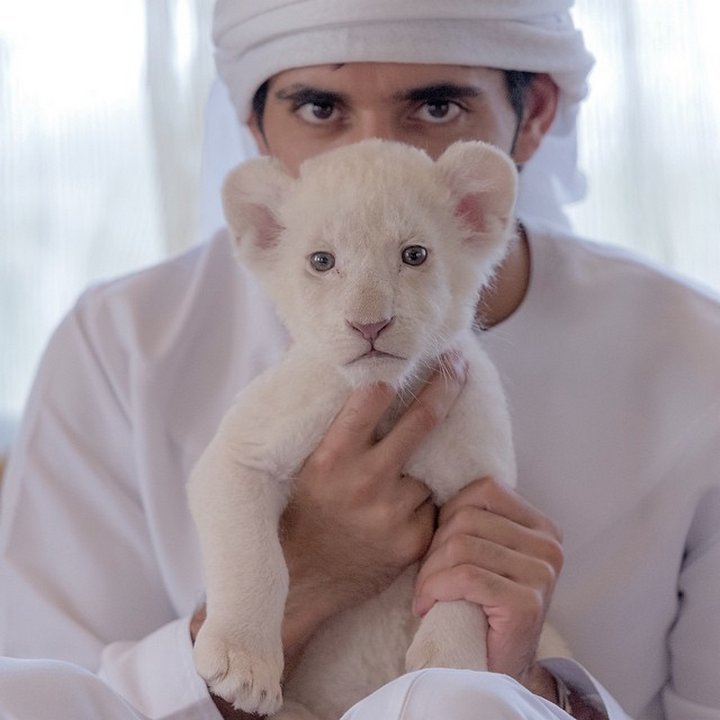 Фотография: Как живет наследник престола Арабских Эмиратов №19 - BigPicture.ru