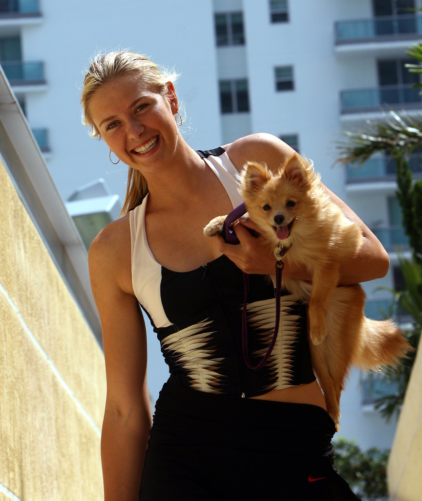 Фотография: Наша Маша: Шарапова вышла в финал Australian Open №6 - BigPicture.ru
