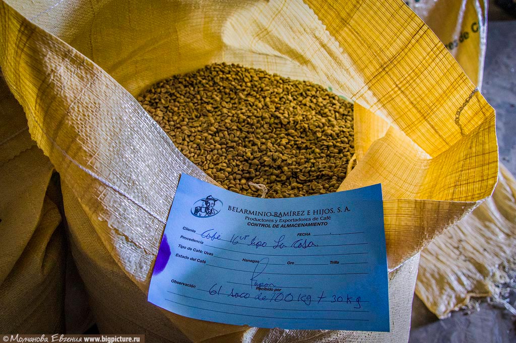 Фотография: Как устроено производство кофе в Доминикане №16 - BigPicture.ru